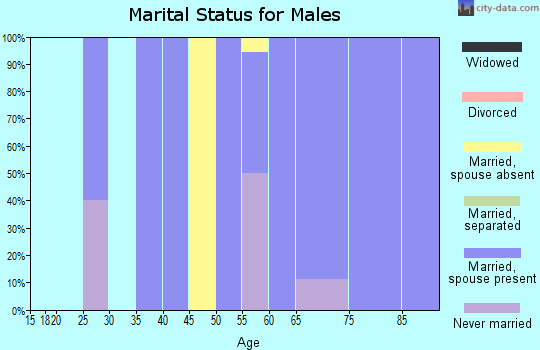 Zip code 58260 marital status for males