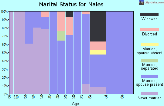 Zip code 58275 marital status for males
