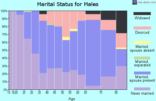 Zip code 58301 marital status for males