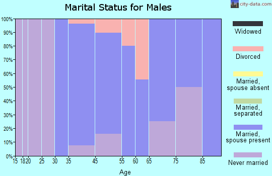 Zip code 58310 marital status for males