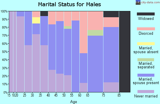 Zip code 58329 marital status for males