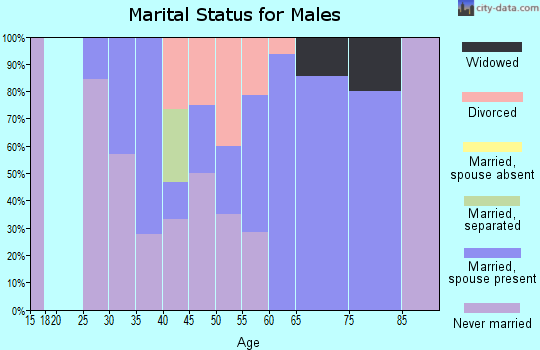 Zip code 58351 marital status for males