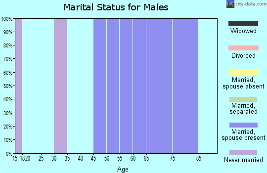 Zip code 58363 marital status for males