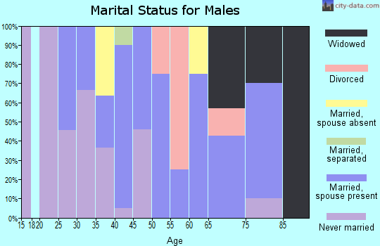 Zip code 58365 marital status for males