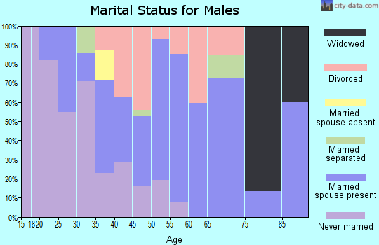 Zip code 58367 marital status for males