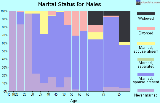 Zip code 58368 marital status for males