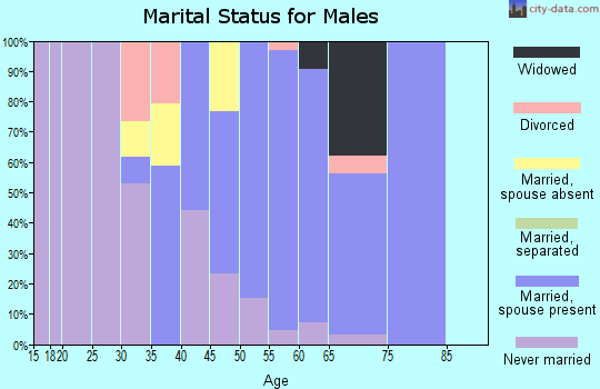 Zip code 58369 marital status for males