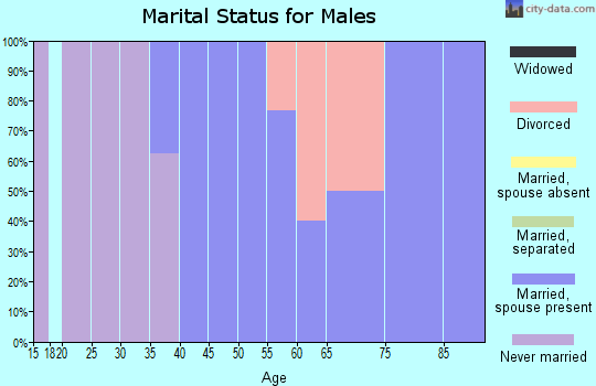 Zip code 58386 marital status for males