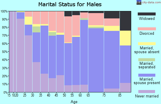 Zip code 58401 marital status for males