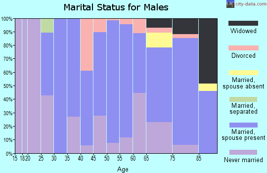 Zip code 58413 marital status for males