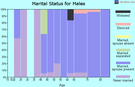 Zip code 58418 marital status for males