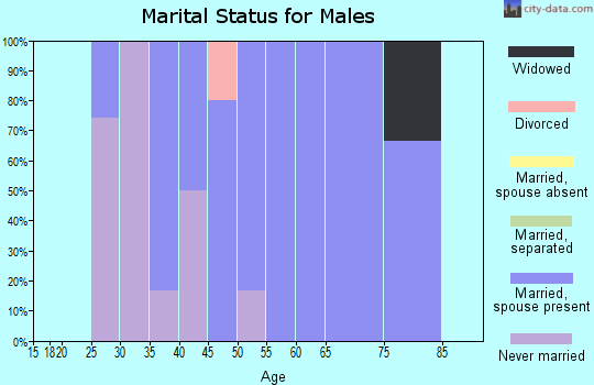Zip code 58420 marital status for males