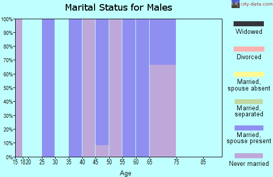 Zip code 58430 marital status for males