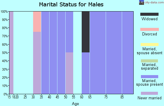 Zip code 58431 marital status for males