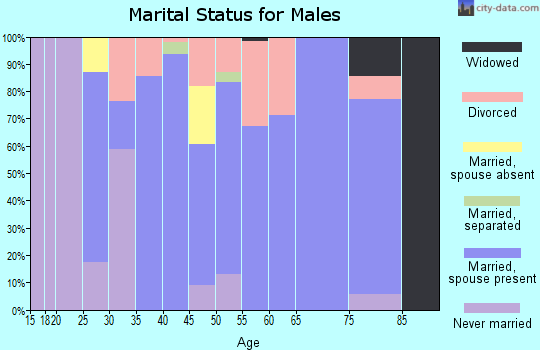 Zip code 58433 marital status for males