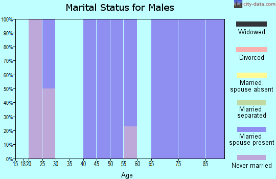 Zip code 58440 marital status for males