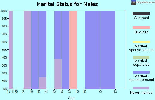 Zip code 58445 marital status for males