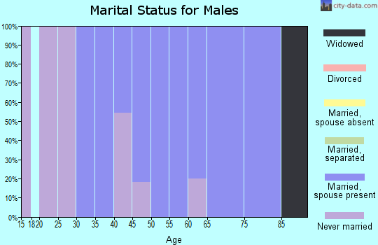 Zip code 58451 marital status for males