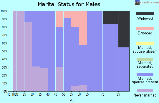 Zip code 58455 marital status for males