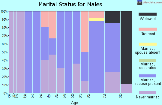 Zip code 58456 marital status for males