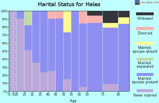 Zip code 58458 marital status for males