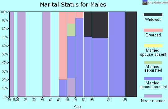 Zip code 58460 marital status for males
