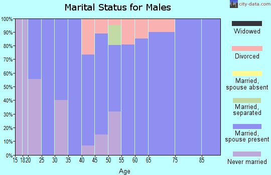 Zip code 58463 marital status for males