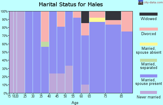 Zip code 58467 marital status for males