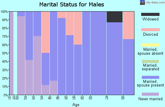 Zip code 58472 marital status for males