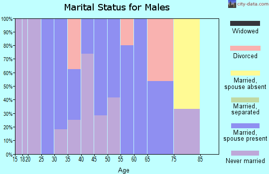 Zip code 58476 marital status for males