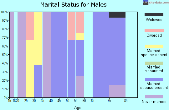 Zip code 58478 marital status for males