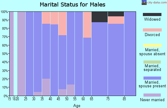 Zip code 58482 marital status for males