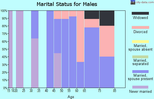 Zip code 58483 marital status for males