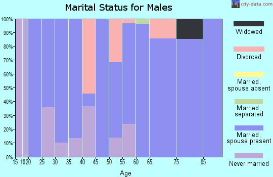 Zip code 58487 marital status for males