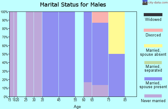Zip code 58489 marital status for males