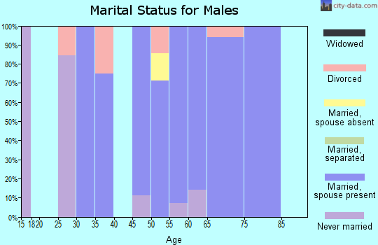 Zip code 58490 marital status for males