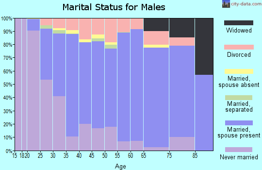 Zip code 58504 marital status for males