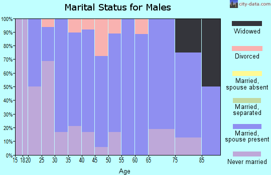 Zip code 58529 marital status for males