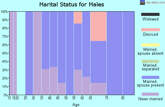 Zip code 58532 marital status for males