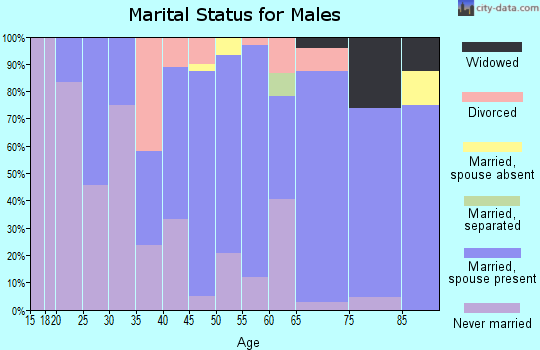 Zip code 58533 marital status for males