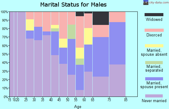 Zip code 58538 marital status for males