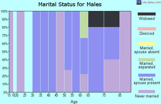 Zip code 58549 marital status for males