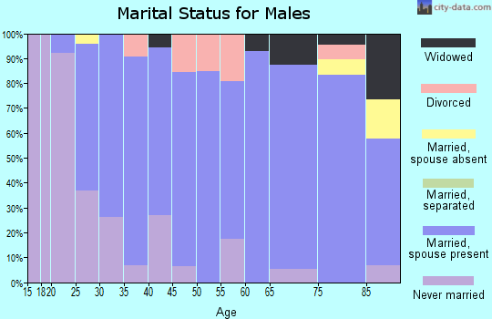 Zip code 58563 marital status for males