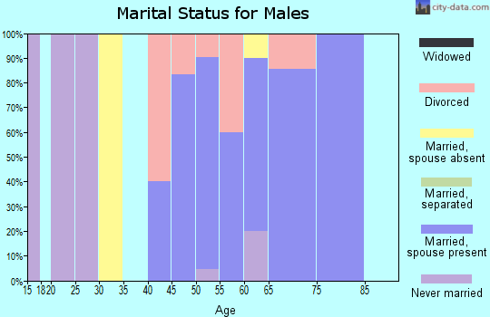 Zip code 58565 marital status for males