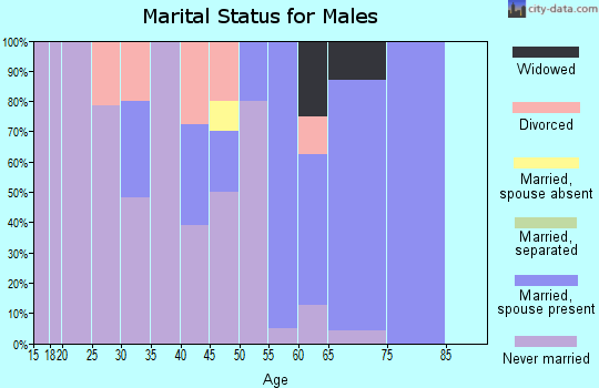 Zip code 58568 marital status for males
