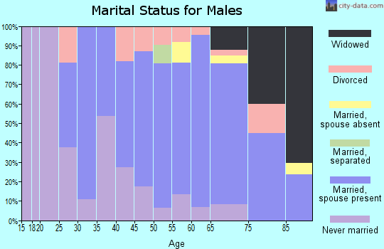 Zip code 58575 marital status for males