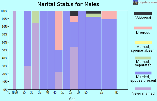 Zip code 58580 marital status for males