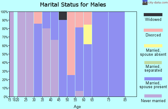 Zip code 58581 marital status for males