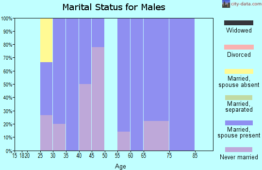 Zip code 58620 marital status for males