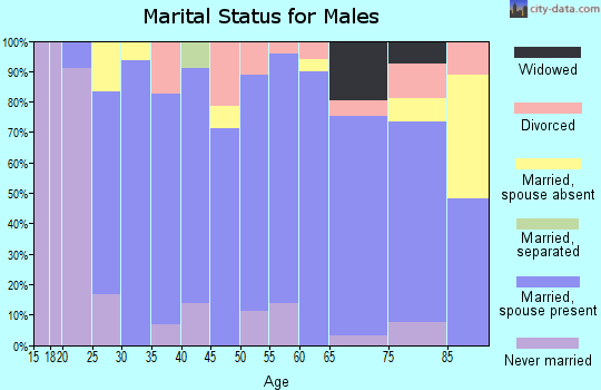 Zip code 58646 marital status for males